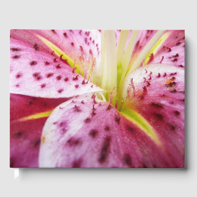 Livre D'or Stargazer Lily brillant Magenta Floral (Recto)