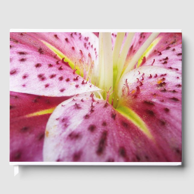 Livre D'or Stargazer Lily brillant Magenta Floral (Recto)