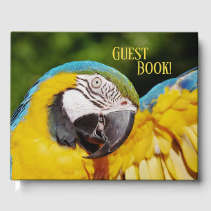 Livre D'or Tête d'un Macaw bleu et jaune