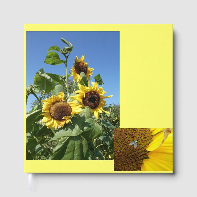 Livre d'or Tournesols (Recto)