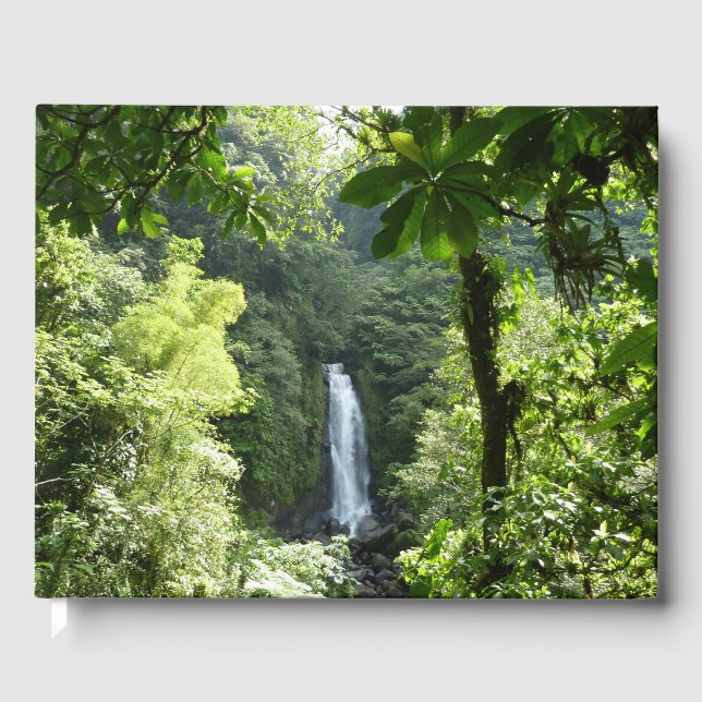 Livre D'or Trafalgar Falls Tropical Rainforest Photographie (Recto)