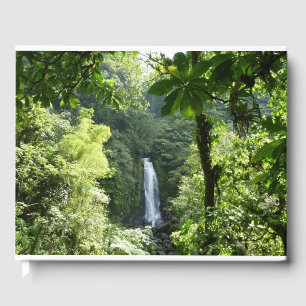 Livre D'or Trafalgar Falls Tropical Rainforest Photographie