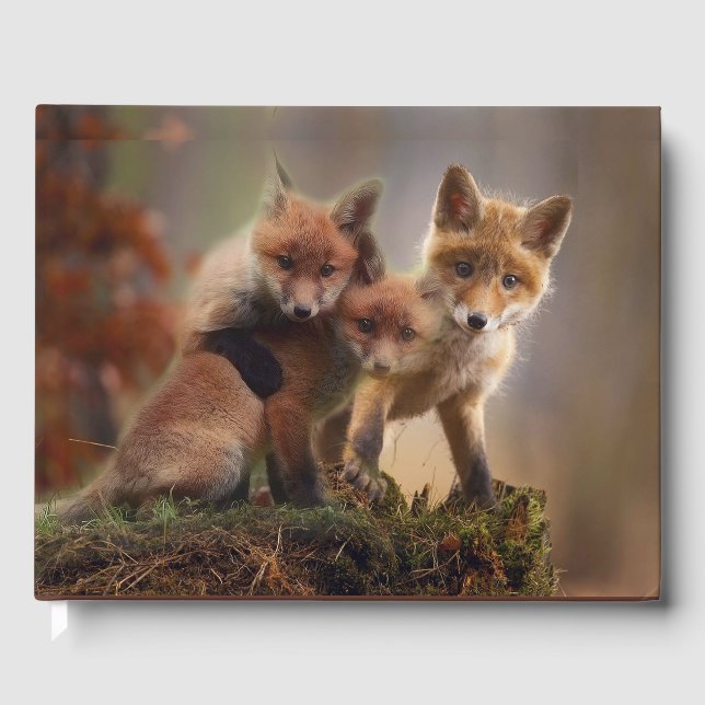 Livre D'or Triplets Foxy (Recto)
