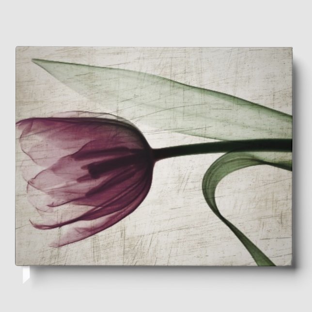 Livre D'or Tulipe vintage X-Ray (Recto)