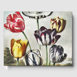 Livre D'or Tulipes multicolores de style Régence lunatique