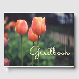 Livre D'or Tulipes Printemps Tulipe Florale Jardin Jolies Fle