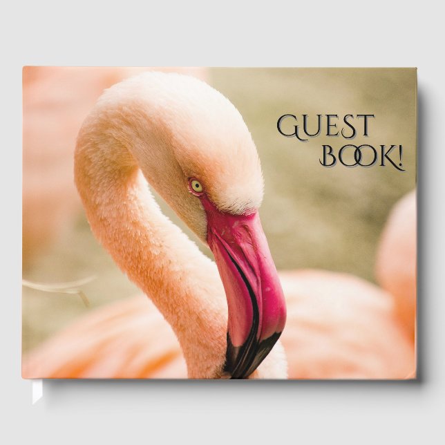 Livre D'or Un Beau Flamant rose Rose (Recto)