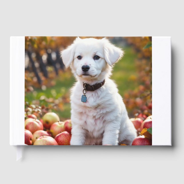 Livre D'or Un mignon petit chiot blanc est assis (Recto)