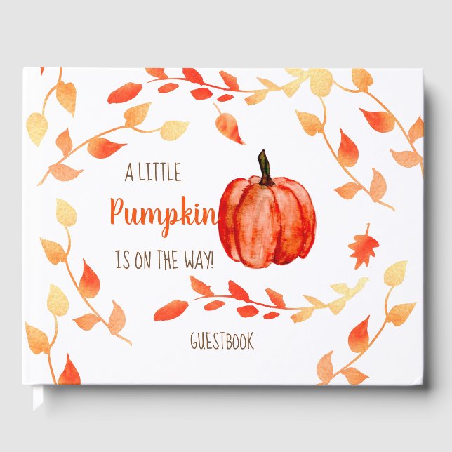 Livre D'or Un petit citrouille est en route pour le Baby show (Recto)