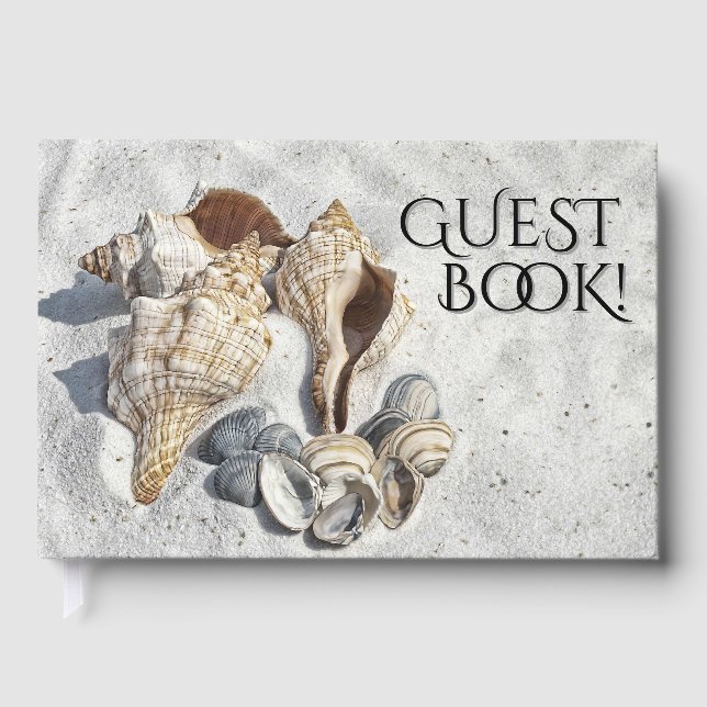 Livre D'or Une collection de coquillages sur le sable (Recto)