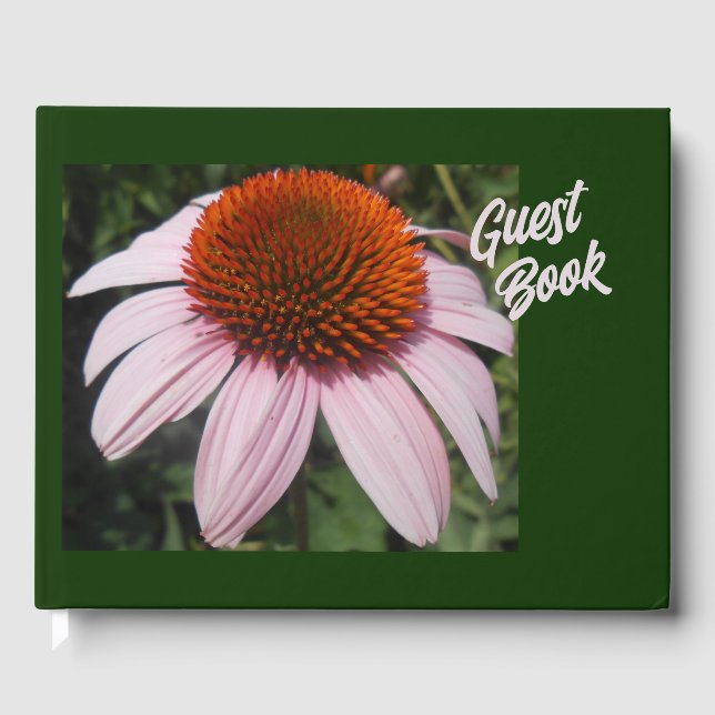 Livre D'or Varotari (Recto)