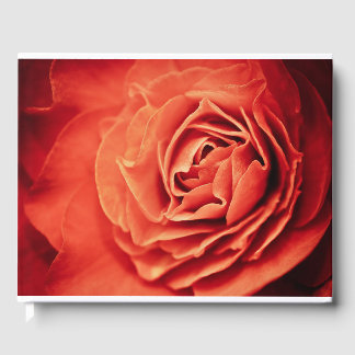 Livre D'or vivant rose