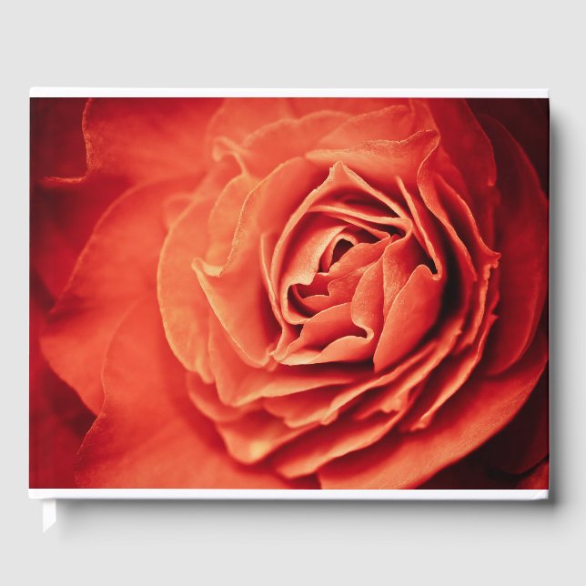 Livre D'or vivant rose (Recto)