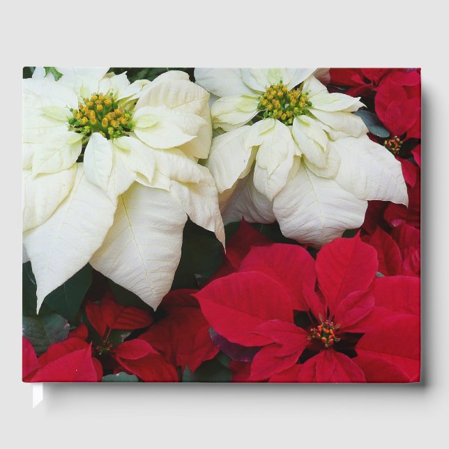 Livre D'or White and Red Poinsettias (Recto)