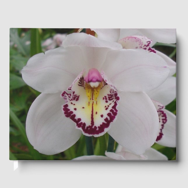 Livre D'or White Orchid II Elegant Floral (Recto)