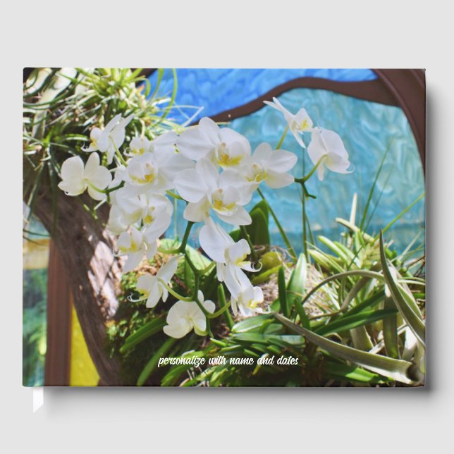 Livre d'or White Orchids (Recto)