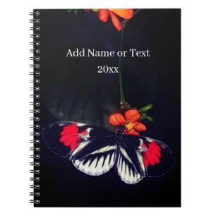 Livre photo Papillon