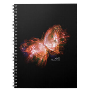 LIVRE UN DE RÉALITÉS DE MING : CARNET DE PAPILLON