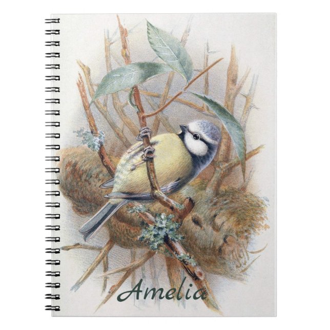 Livre Vintage Eurasien Blue Bird (Devant)