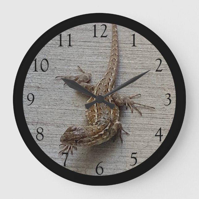 Lizard à tambour Bord Noir Grande horloge (Recto)