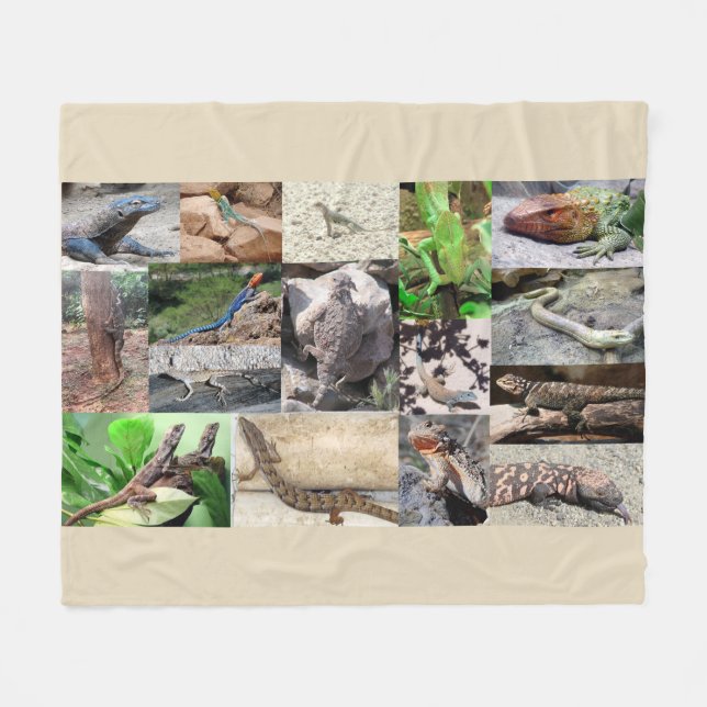 Lizard couverture photo couleur pleine (Devant (Horizontal))