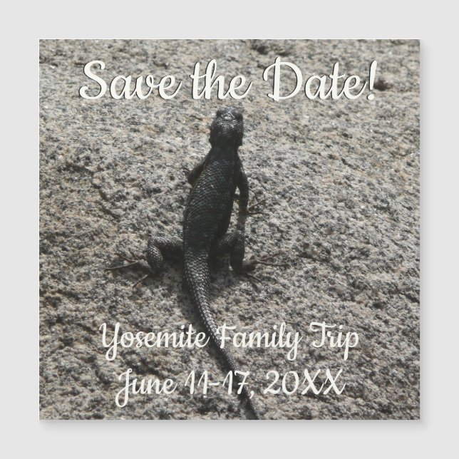 Lizard noir (Devant)