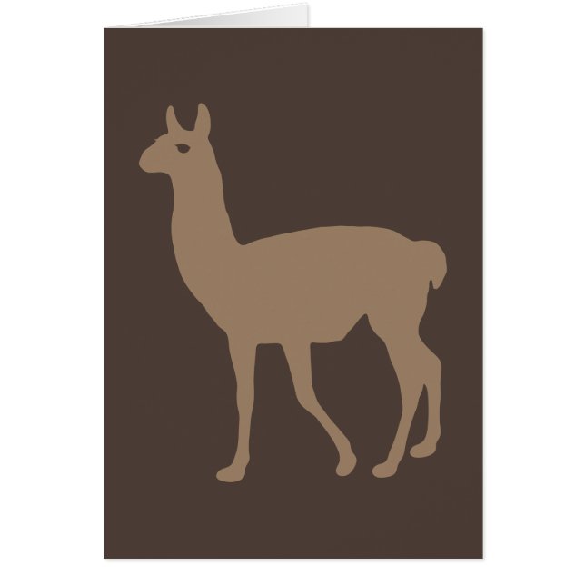Llama (Devant)
