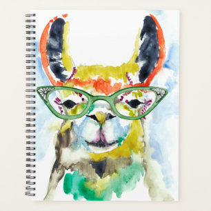 Llama à pantalons