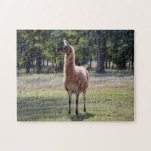 Llama à poser animal nature puzzle