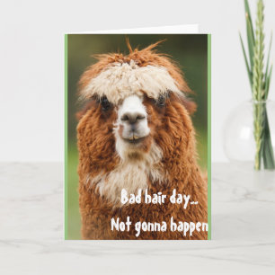 Llama Alpaca Funny Hair Day Carte de voeux