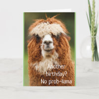 Llama Alpaca Pas de carte d'anniversaire Prob-llam
