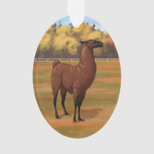 Llama Brown dans les pâturages agricoles d'automne