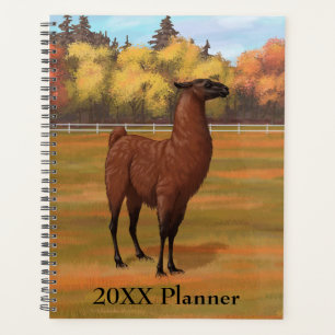 Llama Brown dans les pâturages agricoles d'automne