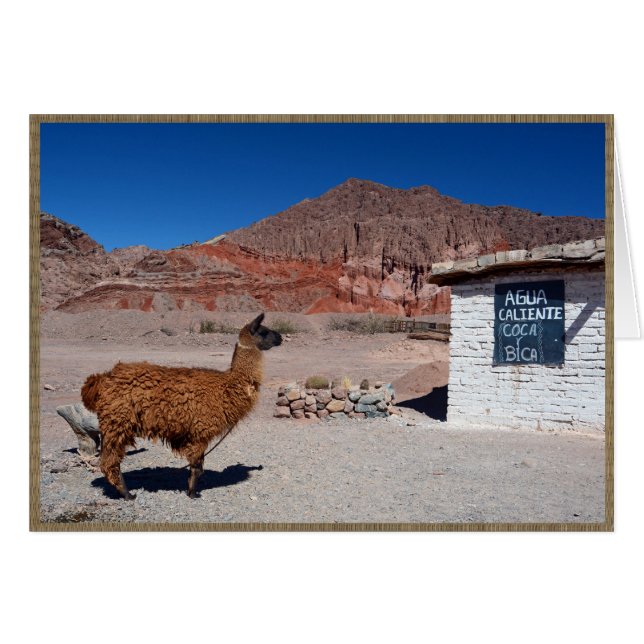 Llama dans la Quebrada de Cafayate, Argentine (Devant horizontal)