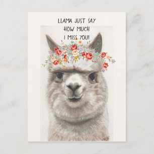 Llama Dis Juste Combien Je TE Manque Carte Postale