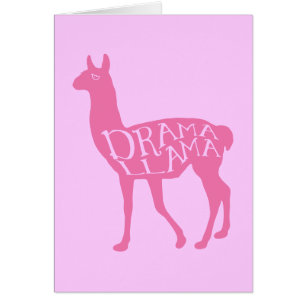 Llama Drama Rose