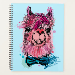 Llama rose mignonne