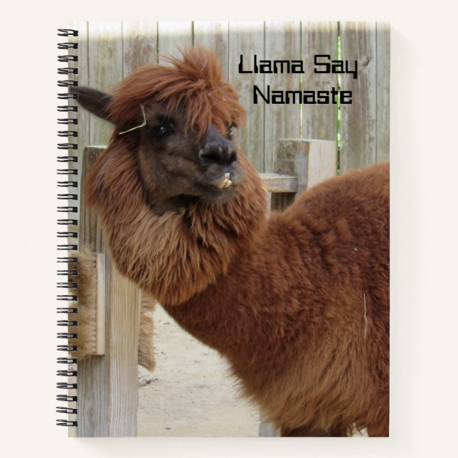 Llama Say Namaste Carnet - 2 Photos - Avant/arrièr (Devant)