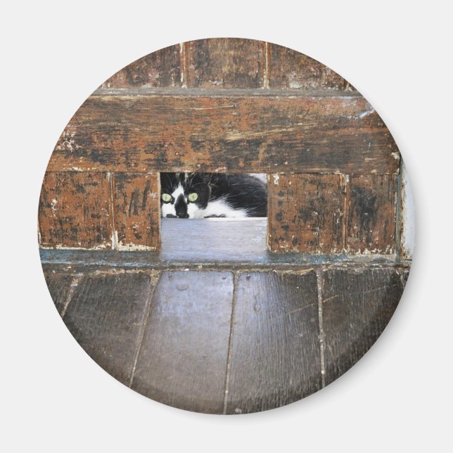 Lobo - Aimant rond De 2¼ Pouce (Devant)
