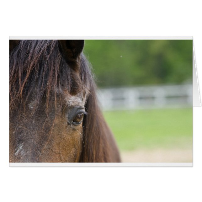 L'oeil d'Emma (Devant Horizontal)