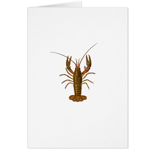 Logo d'écrevisses (Devant)