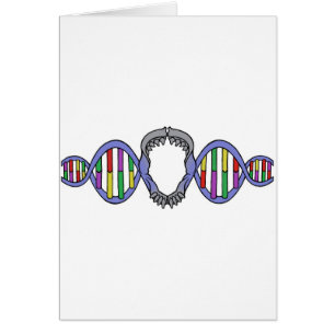 Logo du terrain de jeu de Darwin