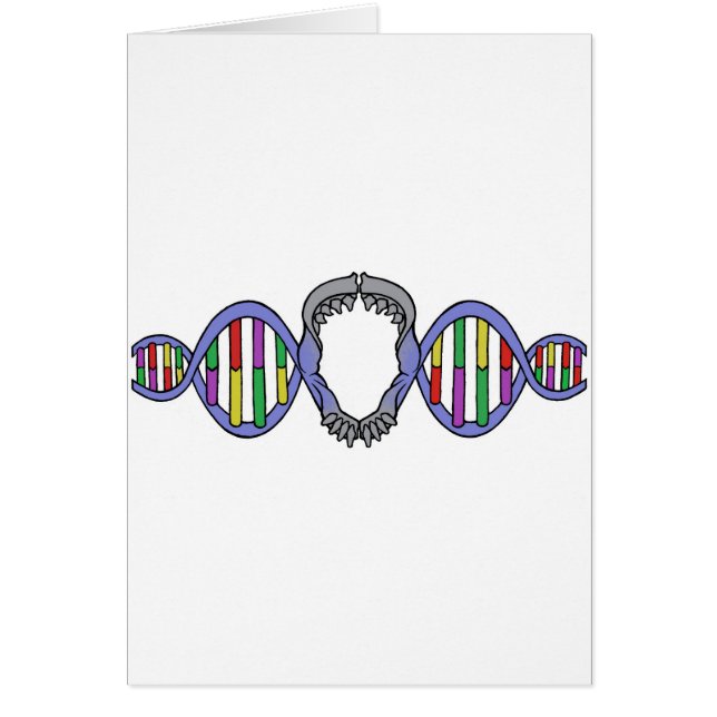 Logo du terrain de jeu de Darwin (Devant)