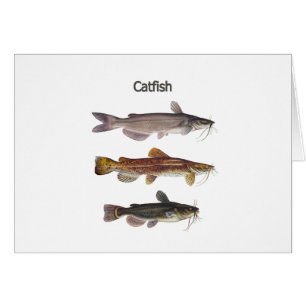 Logo nord-américain de poisson-chat