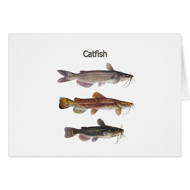 Logo nord-américain de poisson-chat (Devant horizontal)