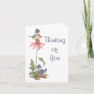 Loi sur l'équilibre - Carte