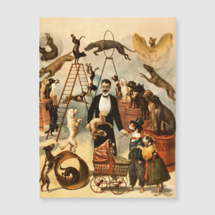 Loi sur les chiens de cirque vintages entraînés Ch