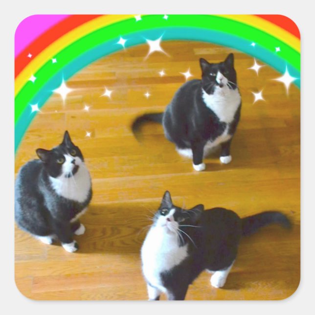 Loin gagne les Stickers TuxedoTrio (Devant)