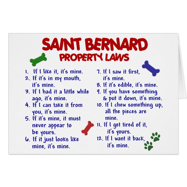 Lois 2 de propriété de ST BERNARD (Devant horizontal)