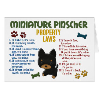 Lois 4 de propriété de Pinscher miniature